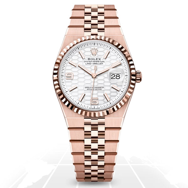 Rolex	Land-Dweller 36	127235