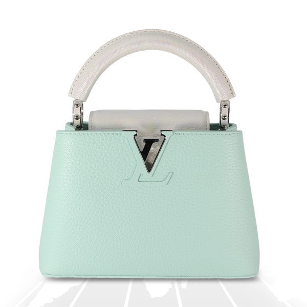 Louis Vuitton Mini Capucines Python Handle Silver Hardware