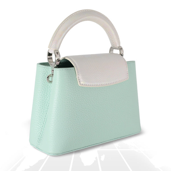 Louis Vuitton Mini Capucines Python Handle Silver Hardware