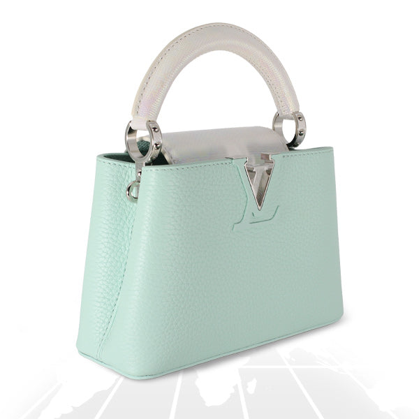 Louis Vuitton Mini Capucines Python Handle Silver Hardware