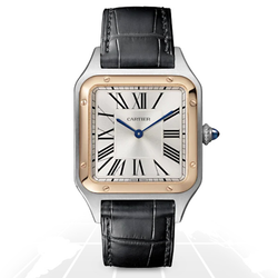 Cartier	Santos Dumont	W2Sa0011 A.t.o Watches